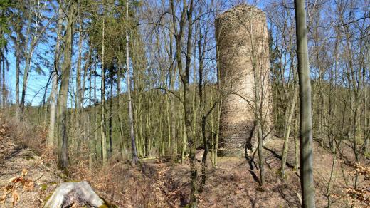 Z hradu se do dnešního dne dochovaly tři zbytky zdí. Nejzachovalejší je dvacet metrů vysoká věž