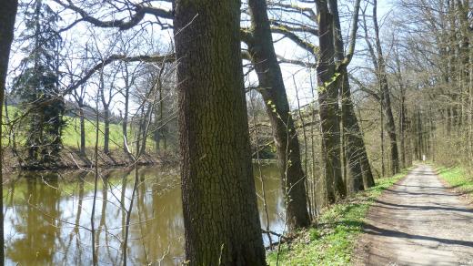 Cesta kolem rybníků