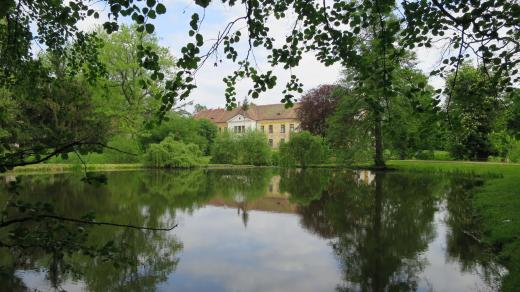 Rybník Zrcadlo v choltickém zámeckém parku
