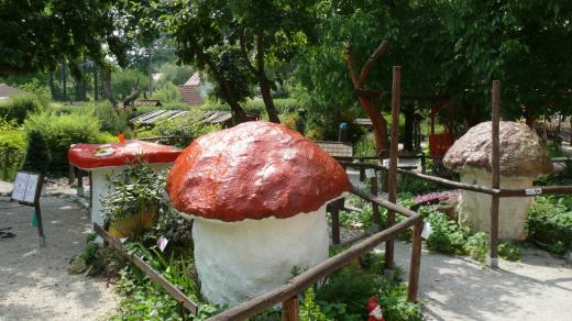 Houby v nadživotní velikosti, trpaslík v poměru jedna ku jedné