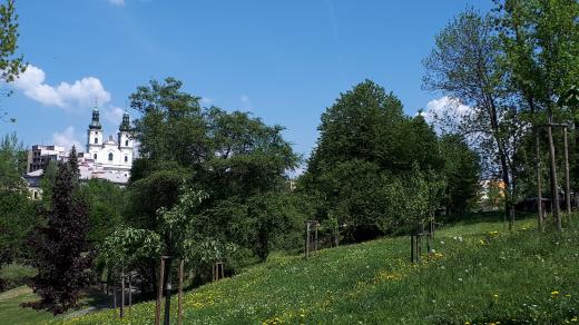 Ovocný sad volně navazuje na park pod zámkem. Přesto o něm spousta kolemjdoucích ani neví.