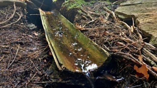 Voda je krásně čistá