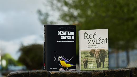 Knihy Desatero smyslů Jaroslava Petra a Řeč zvířat od Carla Safiny nás učí, jak je důležité navázat vztah se svým okolím i jiným smyslem než zrakem