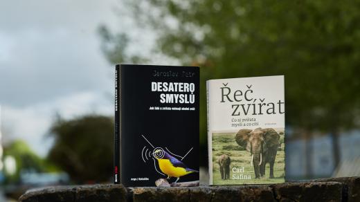 Knihy Desatero smyslů Jaroslava Petra a Řeč zvířat od Carla Safiny nás učí, jak je důležité navázat vztah se svým okolím i jiným smyslem než zrakem