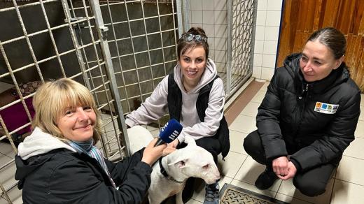 Iveta Kalátová s Eliškou Macháčkovou a Ivanou Hancvenclovou ze Záchranné stanice Archa v Liberci