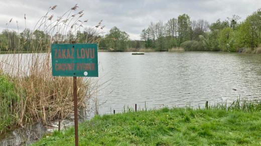 Rybník ve Stříteži na Třinecku