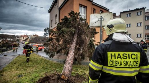Odstraňování následků bouře Sabine v Královéhradeckém kraji