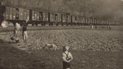 Odsun Němců z Oder, 1946