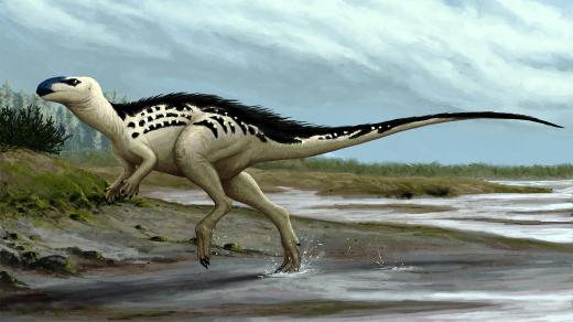 Burianosaurus augustai