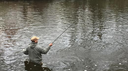 Zahájení pstruhové sezóny u řeky Vltavy ve Zlaté Koruně