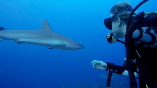 Anna Milerová a její projekt pomoci oceánům BE SEA