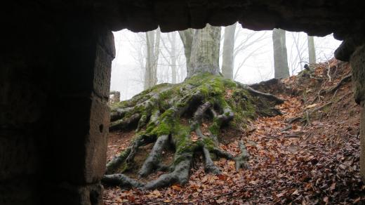 Pozůstatky středověkého hradu, kde v 16. století působila penězokazecká dílna
