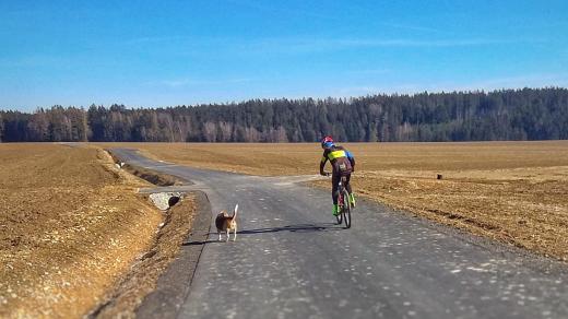 Roman Pittner na kole