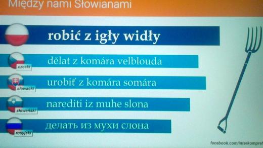 Přísloví