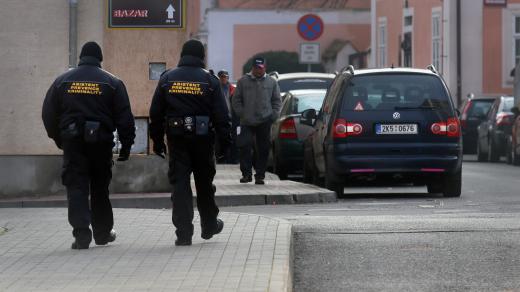 Asistenti prevence kriminality (ilustr. foto)