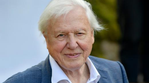 David Attenborough