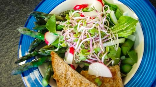 Očistné a omlazující účinky mladých výhonků chřestu znali už naši prapředkové