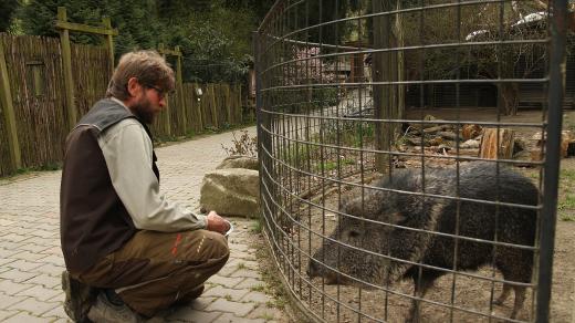 Zoologická zahrada Jihlava