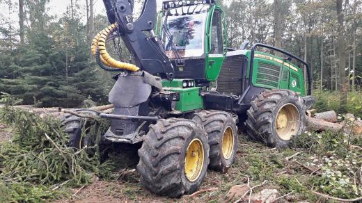 Rekordní ztrátu letos očekávají Dobřany na jižním Plzeňsku v lesním hospodaření. A to především kvůli kůrovci, který decimuje okolní lesy. Z původně plánovaných 3500 kubíků vytěženého kůrovcového dřeva bude na konci roku téměř 6000 kubíků