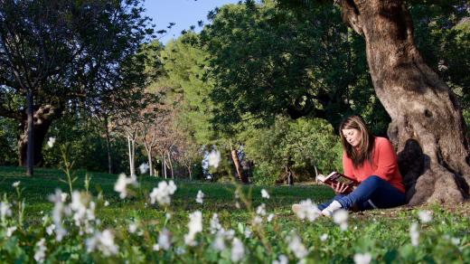 žena v parku, čtenářka