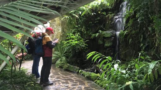 Kdo si chce v těchto podzimních dnech trochu zlepšit náladu, může zajít třeba do botanické zahrady v Teplicích
