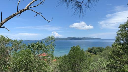 Borneo