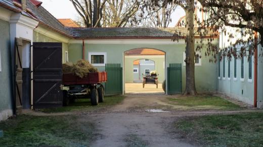 Krajina v Kladrubech nad Labem byla kvůli záplavám nevhodná pro zemědělce, ale ideální pro chov koní