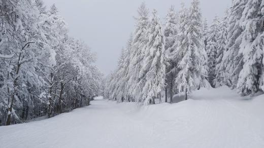 Zima (ilustrační foto)