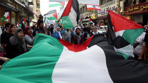 Lidé nesou vlajky během pochodu na vyjádření solidarity s Palestinci v Gaze