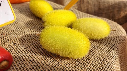 Okurka ježek (Cucumis dipsaceus)