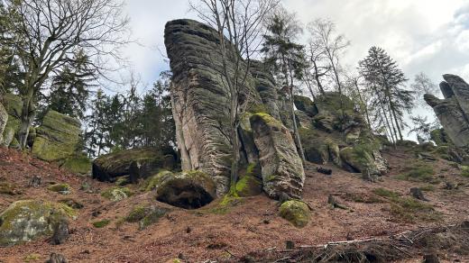Prachovské skály