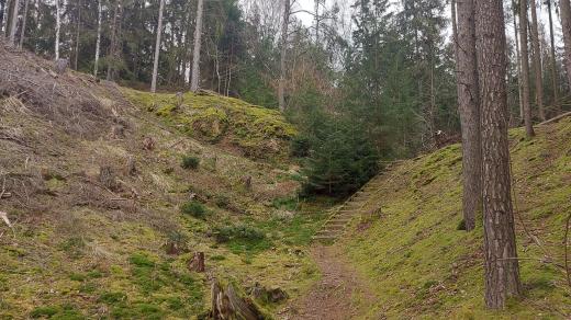 V terénu vybudované dřevěné schody umožňují pohodlný pohyb po strmých částech stezky