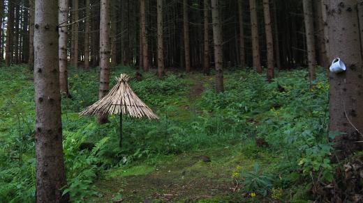 Studánka Josefa Bouchala u Žirovnice