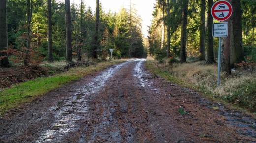 Vjezd do lesa je obecně pro motorová vozidla zakázán