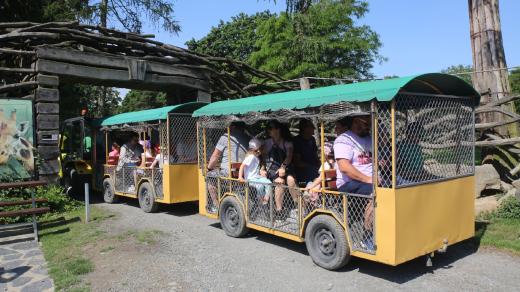 V období od května do srpna vyjíždí safari vláček za příznivého počasí každý den mezi 9 a 17 hodinou