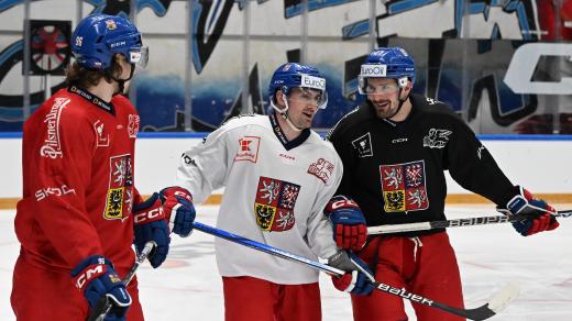 Čeští hokejisté David Tomášek, Jakub Flek a Jan Rutta na tréninku reprezentace