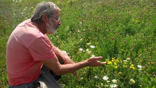 Bohumil Bradna představuje květnatou louku u Markvartic