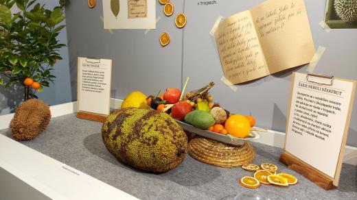 Jackfruit, největší ovoce světa
