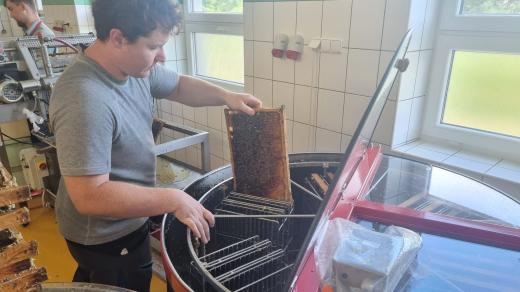 Vytáčení medu ve Štarnově na Olomoucku