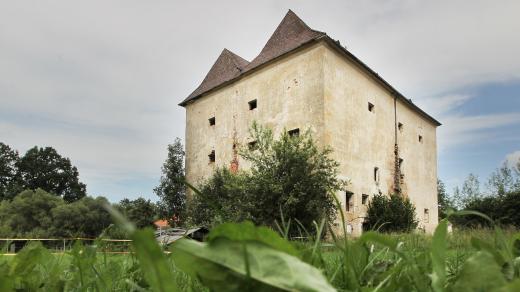 Tvrz v Hamru u Veselí nad Lužnicí