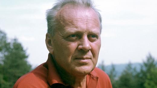 Karel Höger