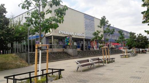 Nové stromořadí v okolí nádraží Libeň