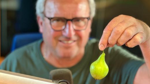 Zahradník František Hlubocký ukazuje hrušku Solanku