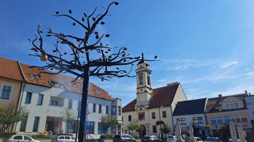 Mlžný strom, Uherský Brod, Masarykovo náměstí