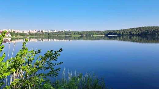 Velký bolevecký rybník