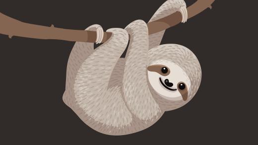 Lenochod trpasličí