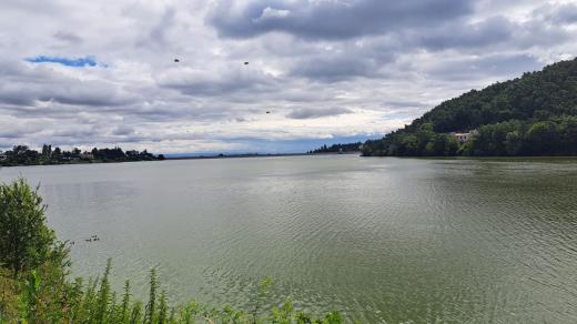 Znečištěná voda v plumlovské přehradě