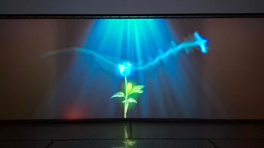 Výstava Modrá květina