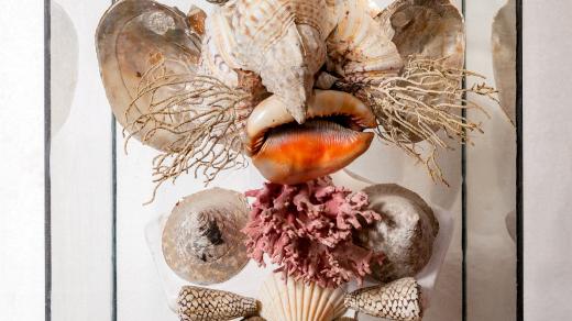 Jan Švankmajer: Arcimboldesque Head of Shells I., ceramic, 1996, 43x37x63