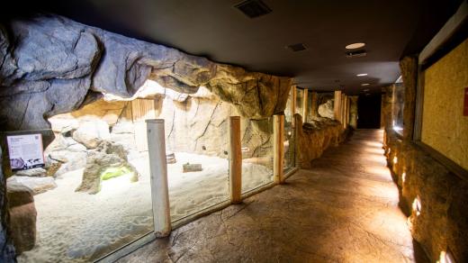 Upravená část Tanganiky